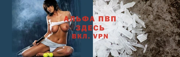 a pvp Абаза
