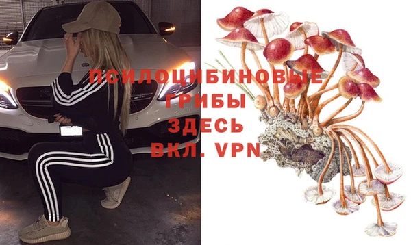 дживик Абинск
