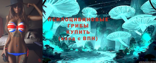 дживик Абинск
