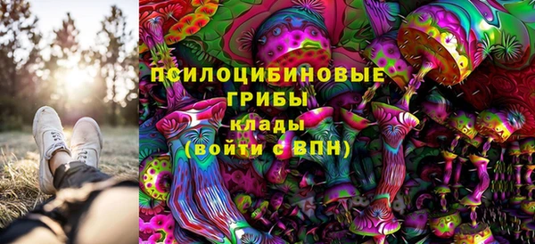 дживик Абинск
