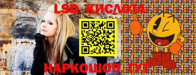 ПСИЛОЦИБИНОВЫЕ ГРИБЫ Нарткала
