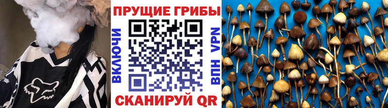 Галлюциногенные грибы мицелий  Шахты 