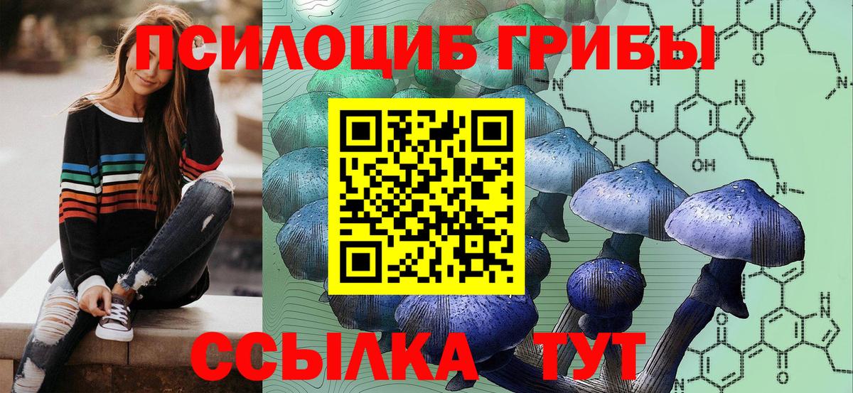 Шахты  Псилоцибиновые грибы Psilocybe  Псилоцибиновые грибы мицелий  даркнет сайт  Вход с VPN 