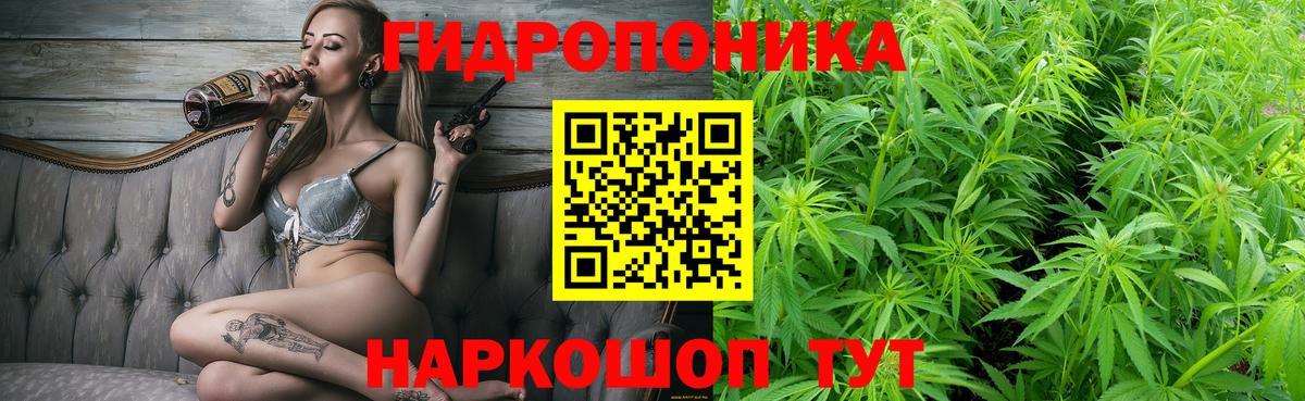 Каннабис OG Kush  Каннабис THC 21%  Марихуана VHQ  Вход с VPN  Конопля семена  Шахты 
